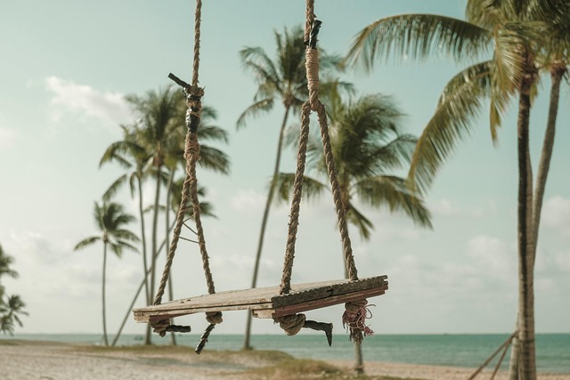 나에게 딱 맞는 푸꾸옥 스노쿨링 투어 고르기