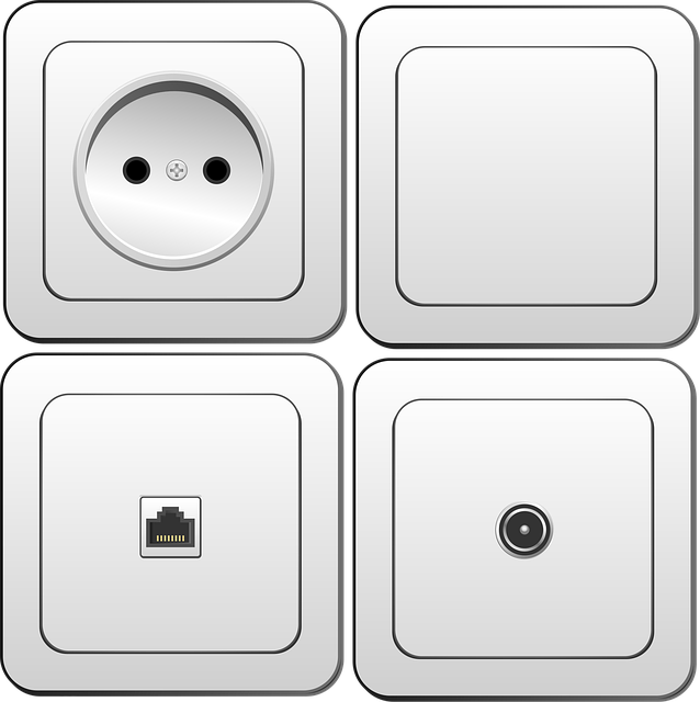 어떤 명품 브랜드들이 있나요?