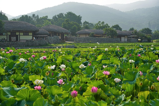 8체질 의학, 어떻게 시작되었을까요?