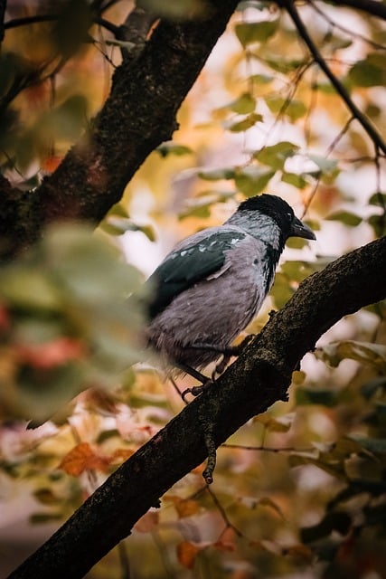 장마와 태풍, 미리 알고 대비해요!