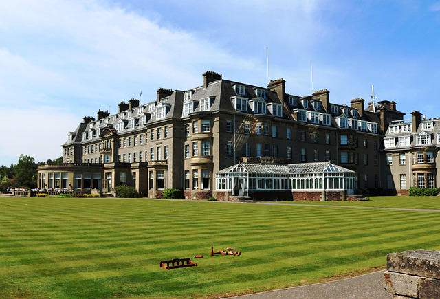 전 세계를 누비는 하얏트, 다양한 얼굴을 소개해요! 🌍