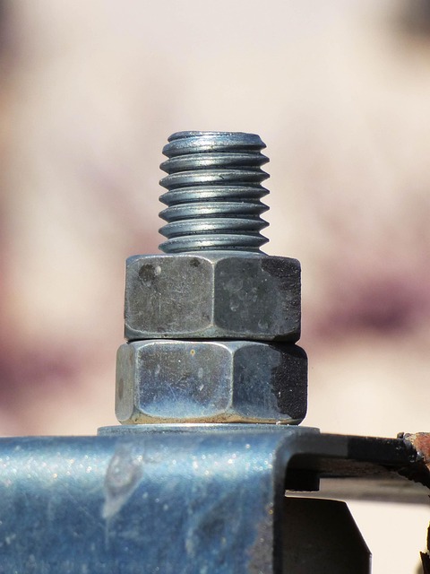 내 캠핑테이블, 다이소 용품이랑 맞을까?