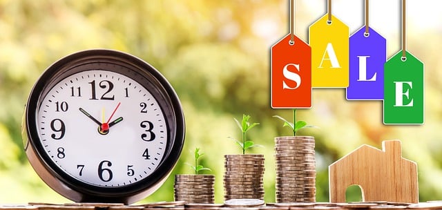 시루콧토 화장솜, 어디서 살 수 있고 가격은?