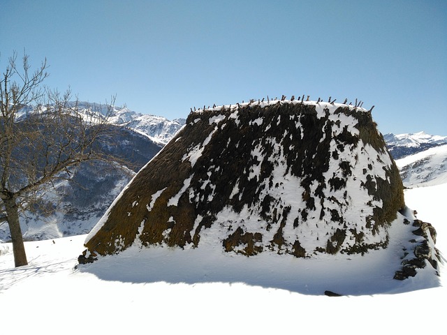 위고비, 왜 이렇게 졸릴까요?