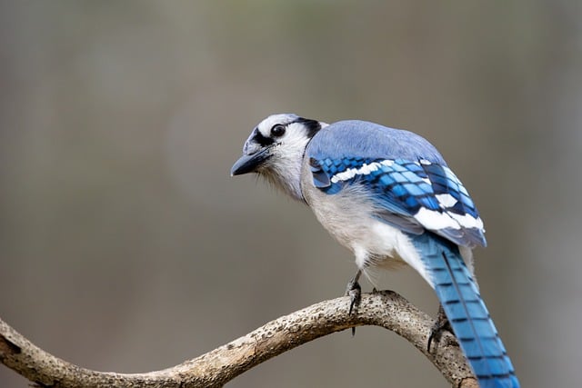 졸음 말고 다른 부작용은 없나요?