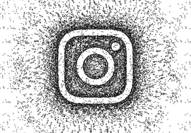 비활성화와 계정 삭제, 어떤 차이가 있을까요?