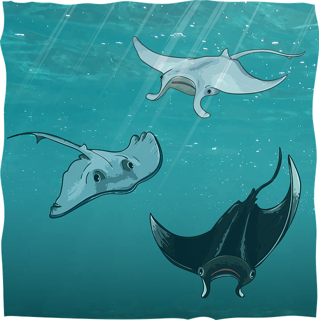 아쿠아플라넷 여수: 신비로운 바닷속 세상과 만나요