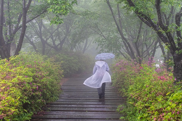 다이소 아동우비, 어떤 건가요? ☔