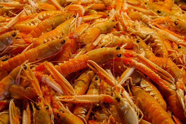 오이도 꽃게찜 알뜰하게 구매하는 법: 가격과 시장 정보