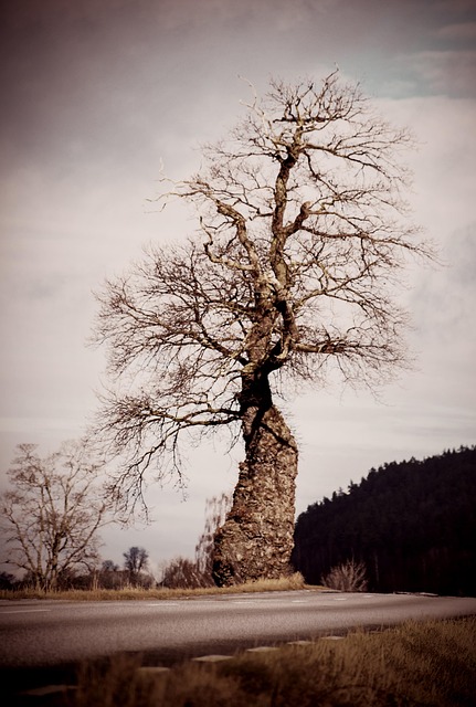 주목할 만한 고배당주 특징과 이야기
