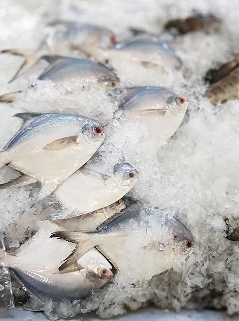 동해 바다의 선물! 싱싱한 해산물 맛집 🐟