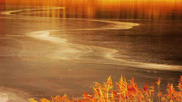 다양한 백운계곡 글램핑 시설 알아보기 (시설 유형과 특징)