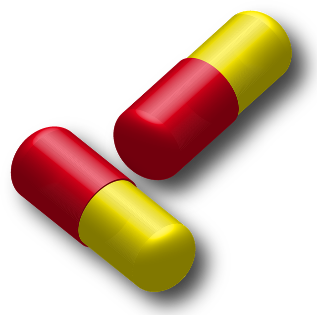 다른 지역과 마운자로 가격 비교!
