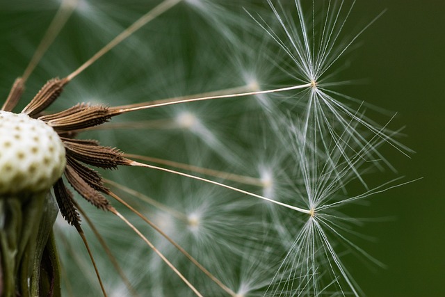 자연의 선물! 황금 레시피 오일의 비밀