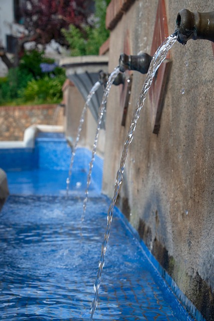 콘드로이친 원료별 차이점과 현명한 선택