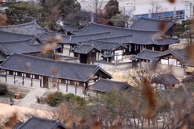 선조들의 지혜, 곰보배추의 오랜 건강 이야기