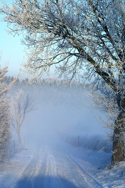 내 투자 성향에 딱! ISA 계좌 유형별 선택 가이드