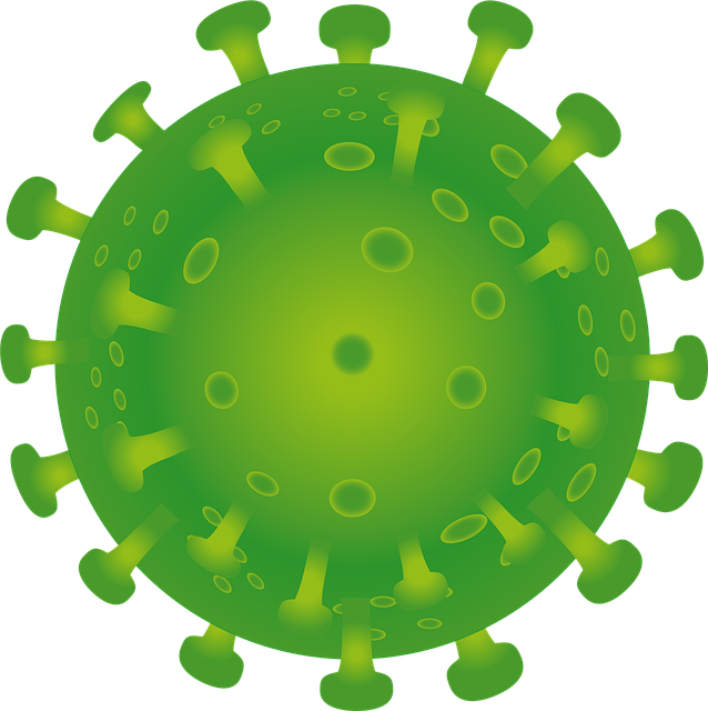 에이즈(AIDS)는 어떤 질병인가요?