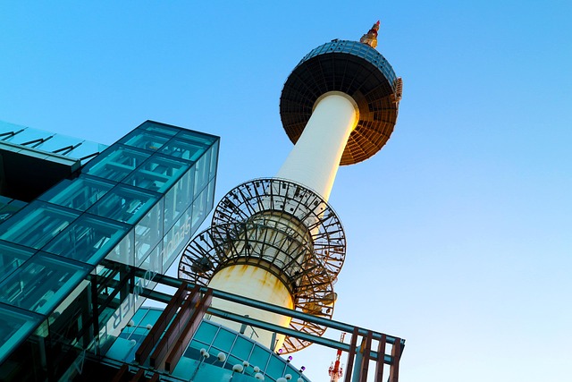 여수 정형외과, 어디에 있고 어떤 진료를 할까요?