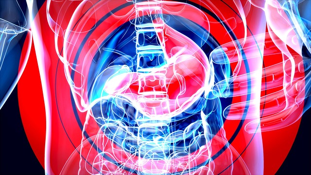 정상 배란통과 가벼운 통증의 특징