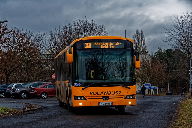 북천코스모스축제, 어떻게 가야 가장 편할까요?
