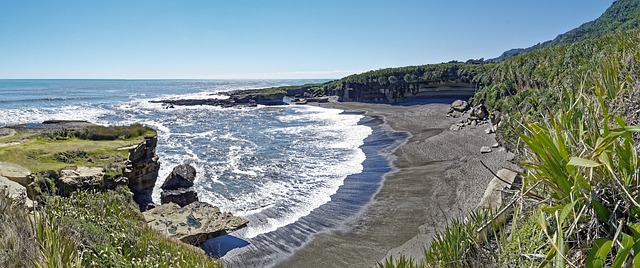 타스만 체스트넛, 왜 이렇게 예쁠까요?