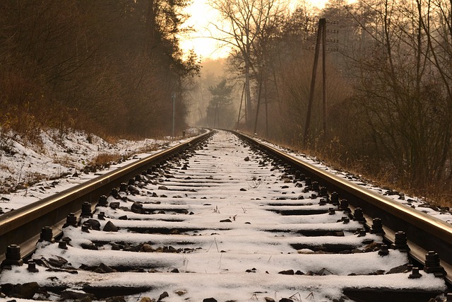 하늘을 걷는 기분! 화담숲 모노레일 이용 꿀팁 🚟