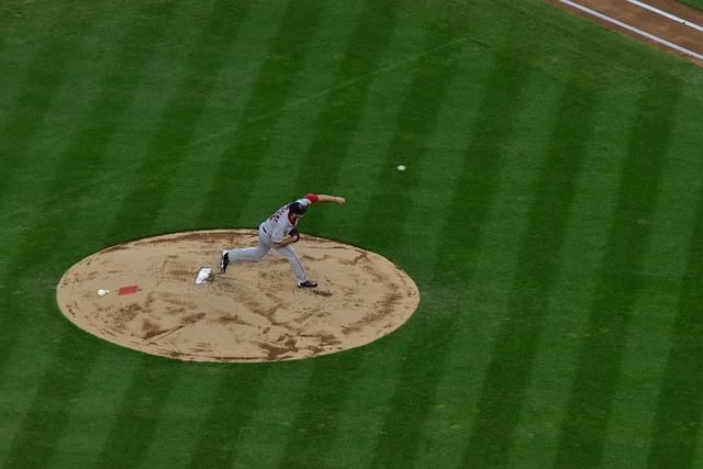 아메리칸리그(AL) 포스트시즌 진출팀과 시드