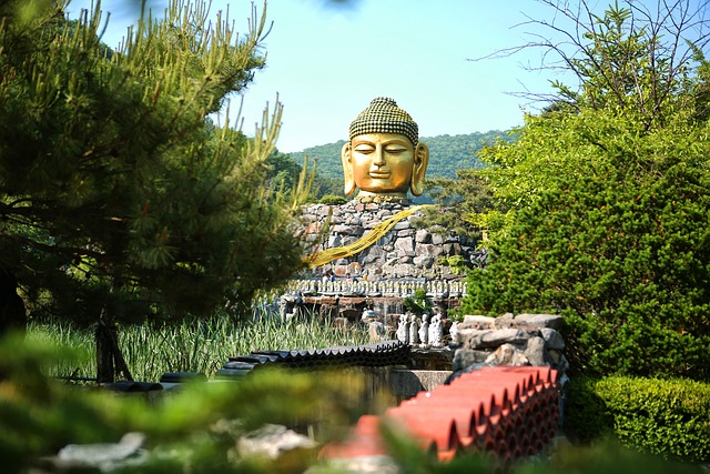 마카다미아, 언제부터 우리 곁에 왔을까요?