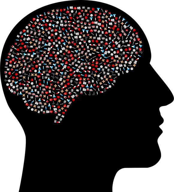 마운자로, 어떤 약인가요?