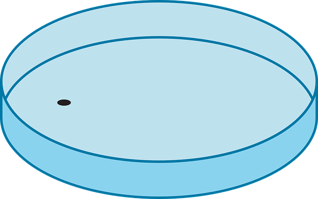 2080 진지발리스 프로젝트K, 왜 탄생했을까요?