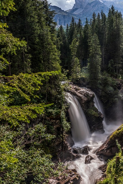 앱 실행 후 바로 즐기는 라디오 기본 기능