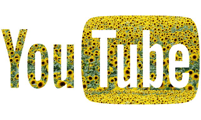 앱 캐시 및 데이터 삭제로 오류 초기화