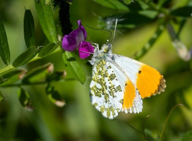 이용 전에 꼭 알아야 할 유의사항