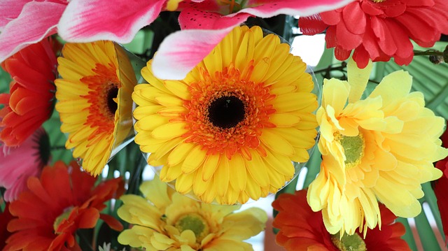 시대적 배경과 정년연장 논의 시작