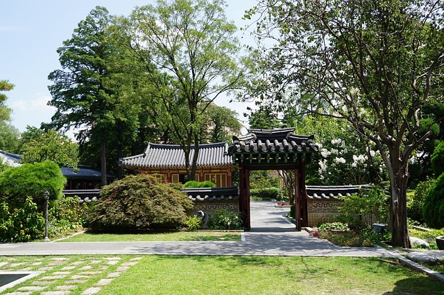 최정원 대표 작품: '사랑과 전쟁'부터 'SNL 코리아'까지 📺