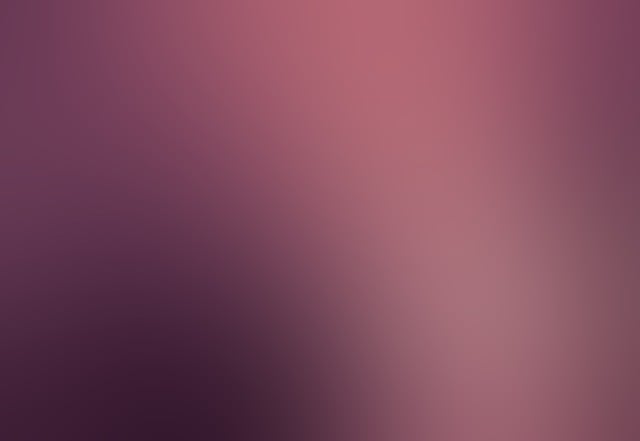 먼지다듬이 벌레, 도대체 뭘까요?