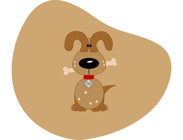 반려견과 함께 즐길 수 있는 광명동굴 외부 공간 🐕