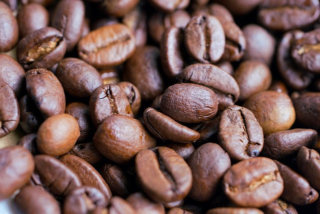 어니스트 MCT오일, 현명하게 사용하는 방법은?