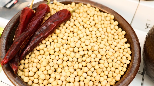 꼭 해봐야 할 대표 체험 프로그램은?