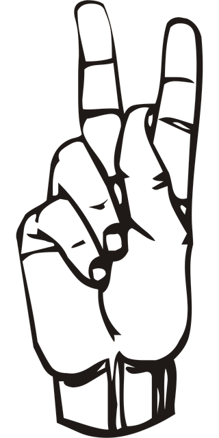 새로운 말과 외국어가 늘어나는 이유