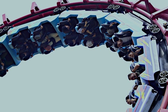 심장이 쫄깃! 에버랜드 최고의 스릴 어트랙션