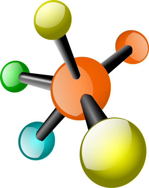 더덕 속에 숨겨진 건강 보물, 주요 영양 성분