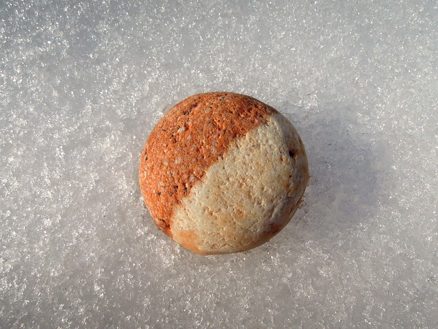 진미령은 누구일까요? 나이와 프로필 궁금증 해결!