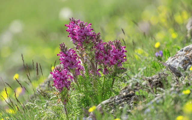어떤 보험 상품들이 있을까요?
