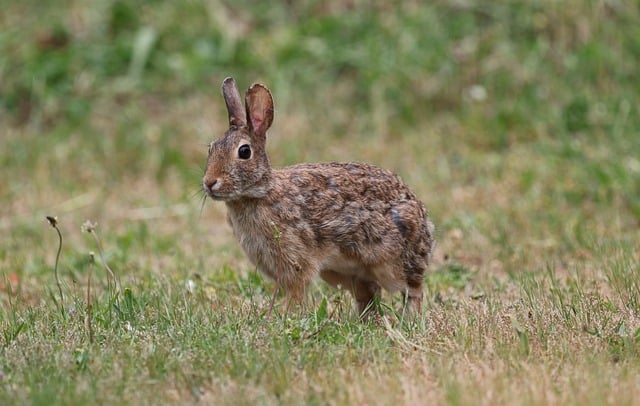 서양과 동양의 다른 신들