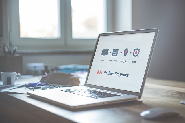 메이플 부주, 도대체 뭘까요? 🤔