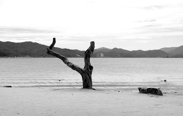 더 경기패스 교통카드, 어떻게 발급받나요?