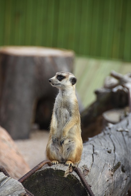 연말정산 미리보기 서비스 활용법