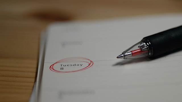 방송 일정 및 다가오는 시즌 정보